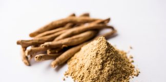 Ashwagandha – Utilisations, Effets secondaires et plus Racines séchées et poudre d'ashwagandha sur fond blanc, illustration des formes traditionnelles de cette plante médicinale utilisée pour le stress et l'anxiété.