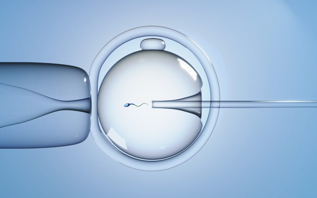 Illustration de fécondation in vitro (FIV) : spermatozoïde injecté dans un ovule, technologie pour traiter l’infertilité