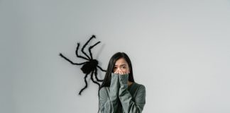 Les Phobies : Symptômes, types, causes et traitement Une femme montrant des signes d'arachnophobie, couvrant son visage avec ses mains en réaction à une grande silhouette d'araignée noire sur un mur gris, illustrant les symptômes physiques des phobies spécifiques.