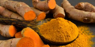 Bienfaits du Curcuma Racines de curcuma fraîches coupées montrant leur chair orange vif à côté d'une cuillère en bois remplie de poudre de curcuma jaune doré