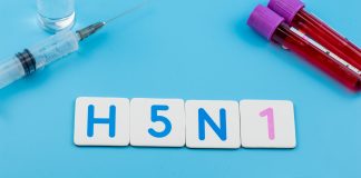 Tout savoir sur la grippe aviaire et ses risques H5N1 grippe aviaire - concept médical avec seringue, tubes sanguins, médicaments et stéthoscope sur fond bleu